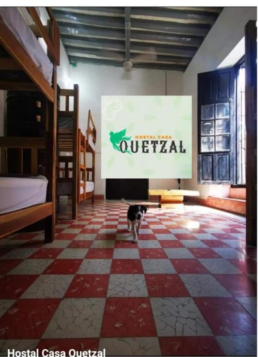 Hostel Casa Quetzal 坎佩切 外观 照片